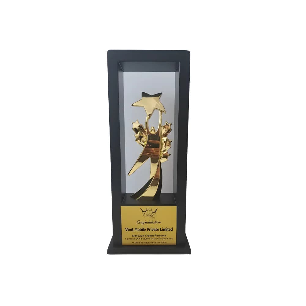 Certificate of Excellence in Diwali Festival Sales 2025